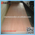 plywood poplar plywood with low price